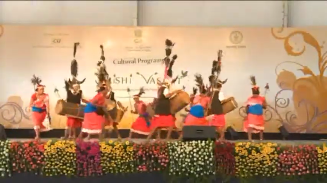 Gaur Gaur