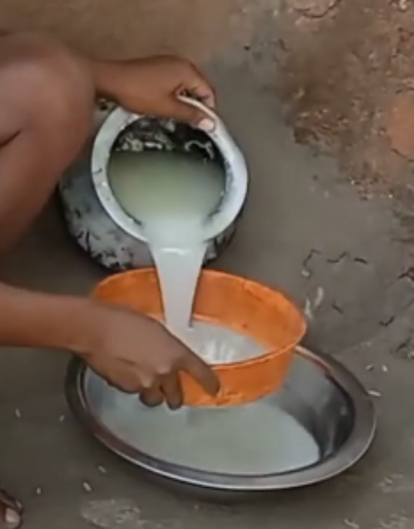 Rice Rice