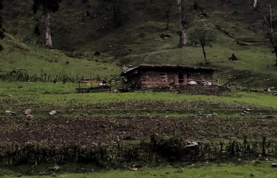 Agriculture Agriculture