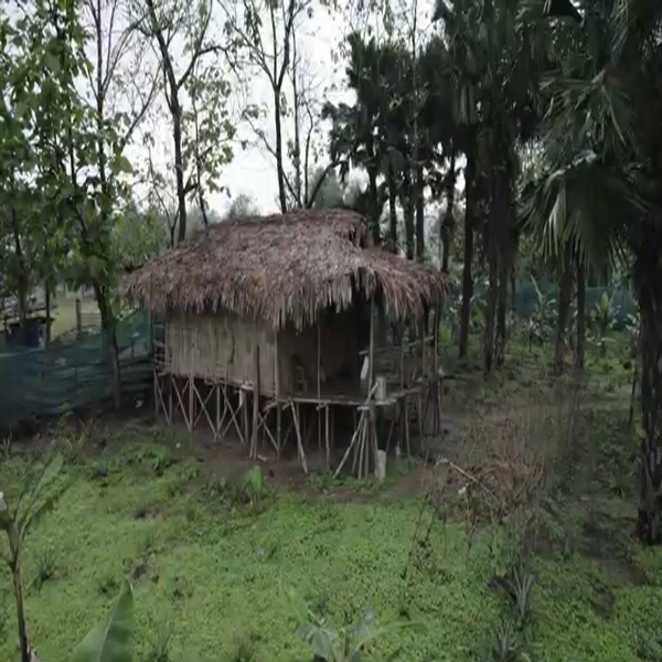 Nyishi Nyishi