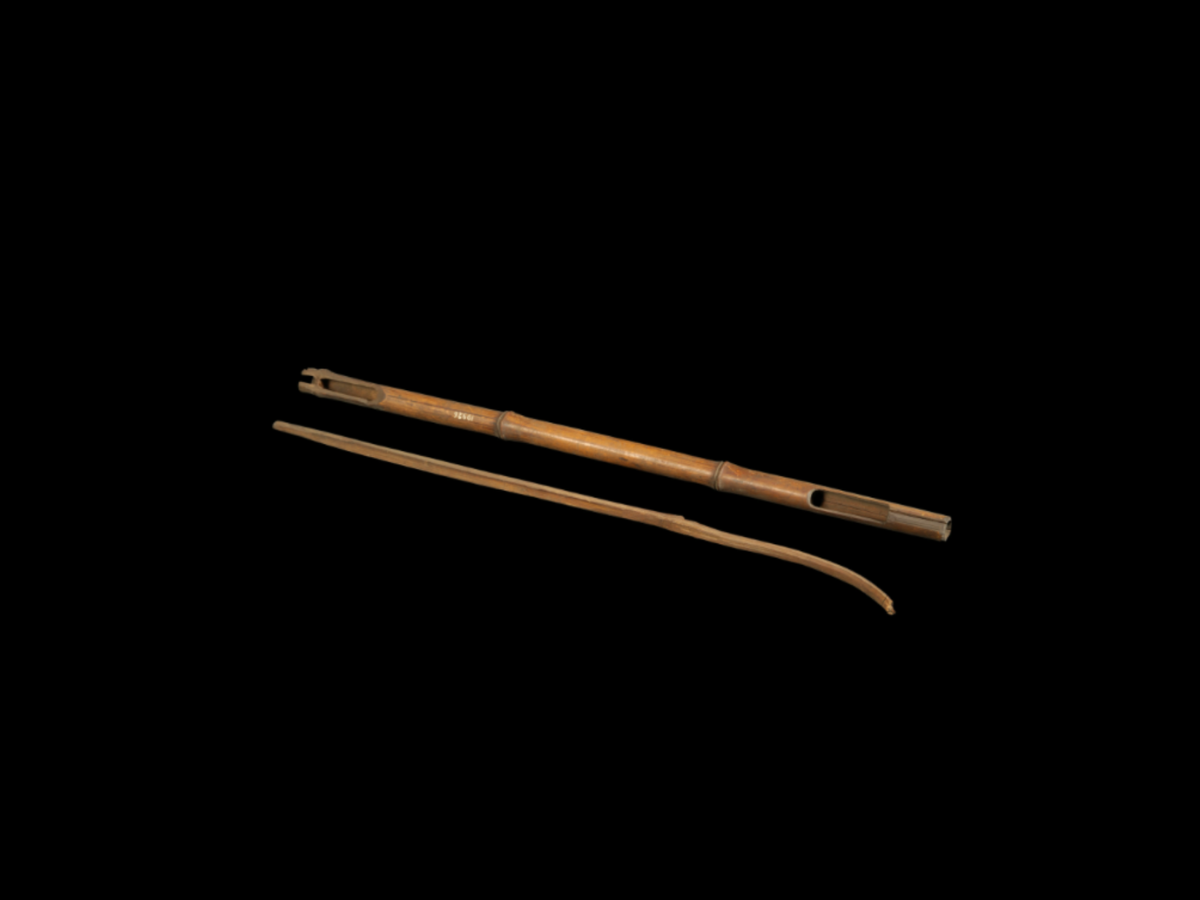 Adi Sword: Where Craft Meets Courage Adi Sword: Where Craft Meets Courage