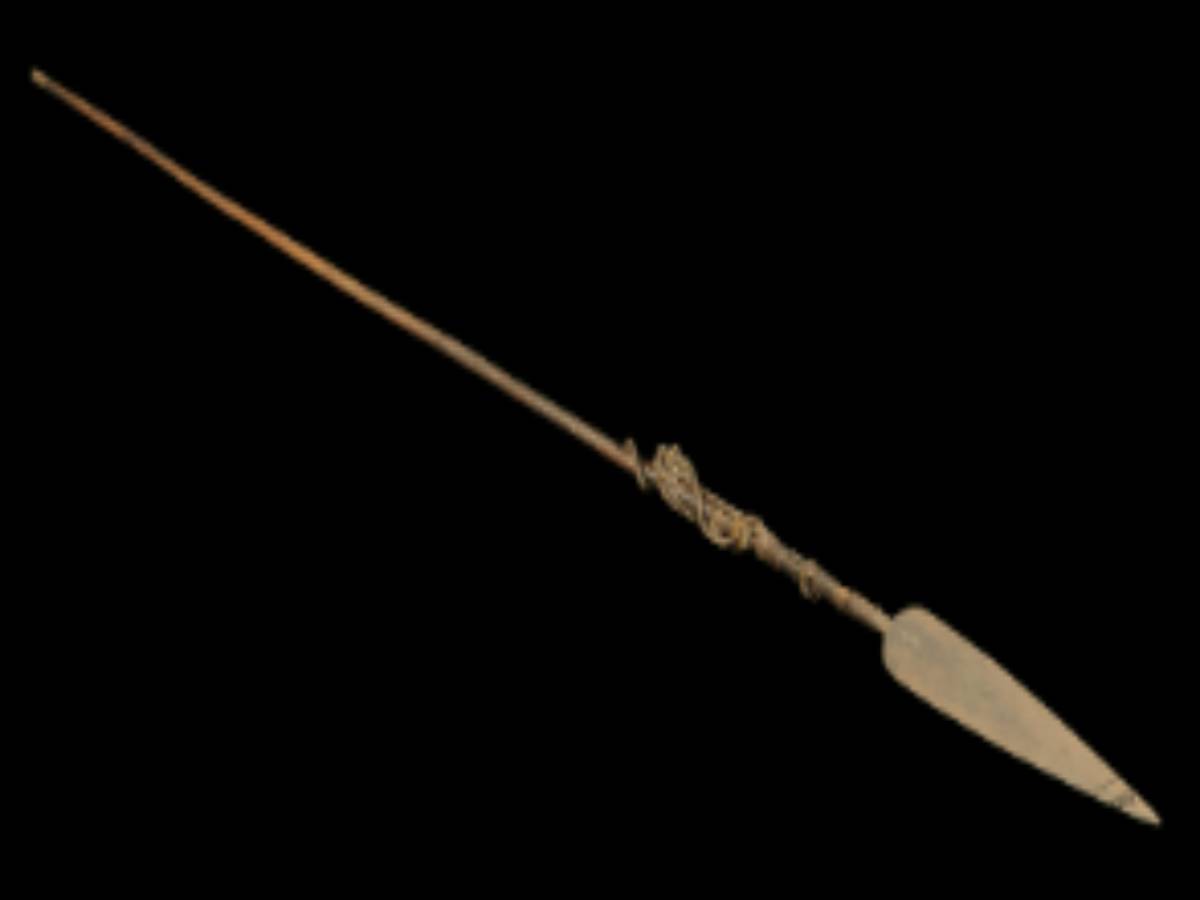 Shot of a Wooden Arrow Shot of a Wooden Arrow