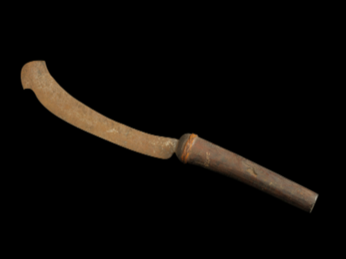 Pruning Dao Ka-Wait Prat of khasi tribe Pruning Dao Ka-Wait Prat of khasi tribe