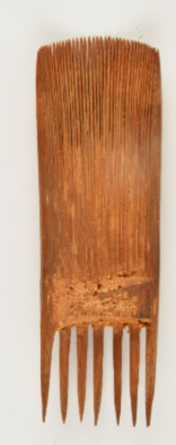 Nishi Tribe’s Carved Wooden Comb