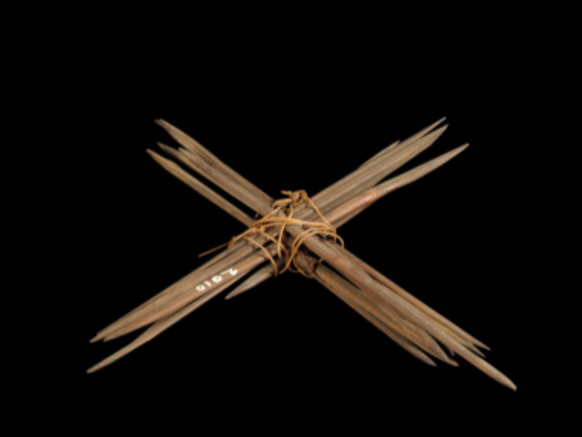 Sharp Bamboo Spikes of the Khasi Tribe Sharp Bamboo Spikes of the Khasi Tribe