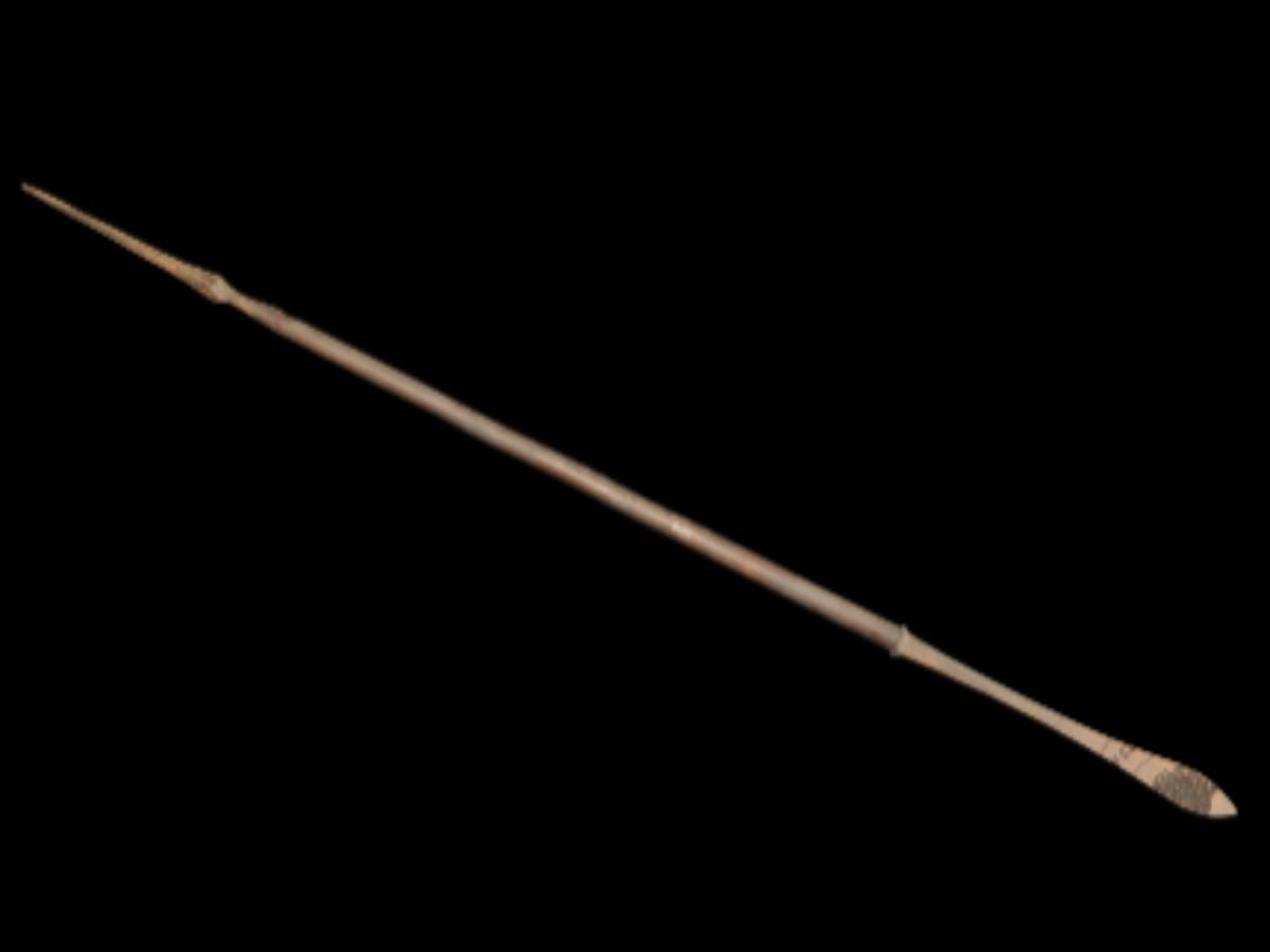 Iron-headed spear with wooden shaft Iron-headed spear with wooden shaft