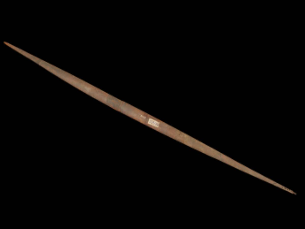 Bamboo bow stave of nyishi tribe Bamboo bow stave of nyishi tribe