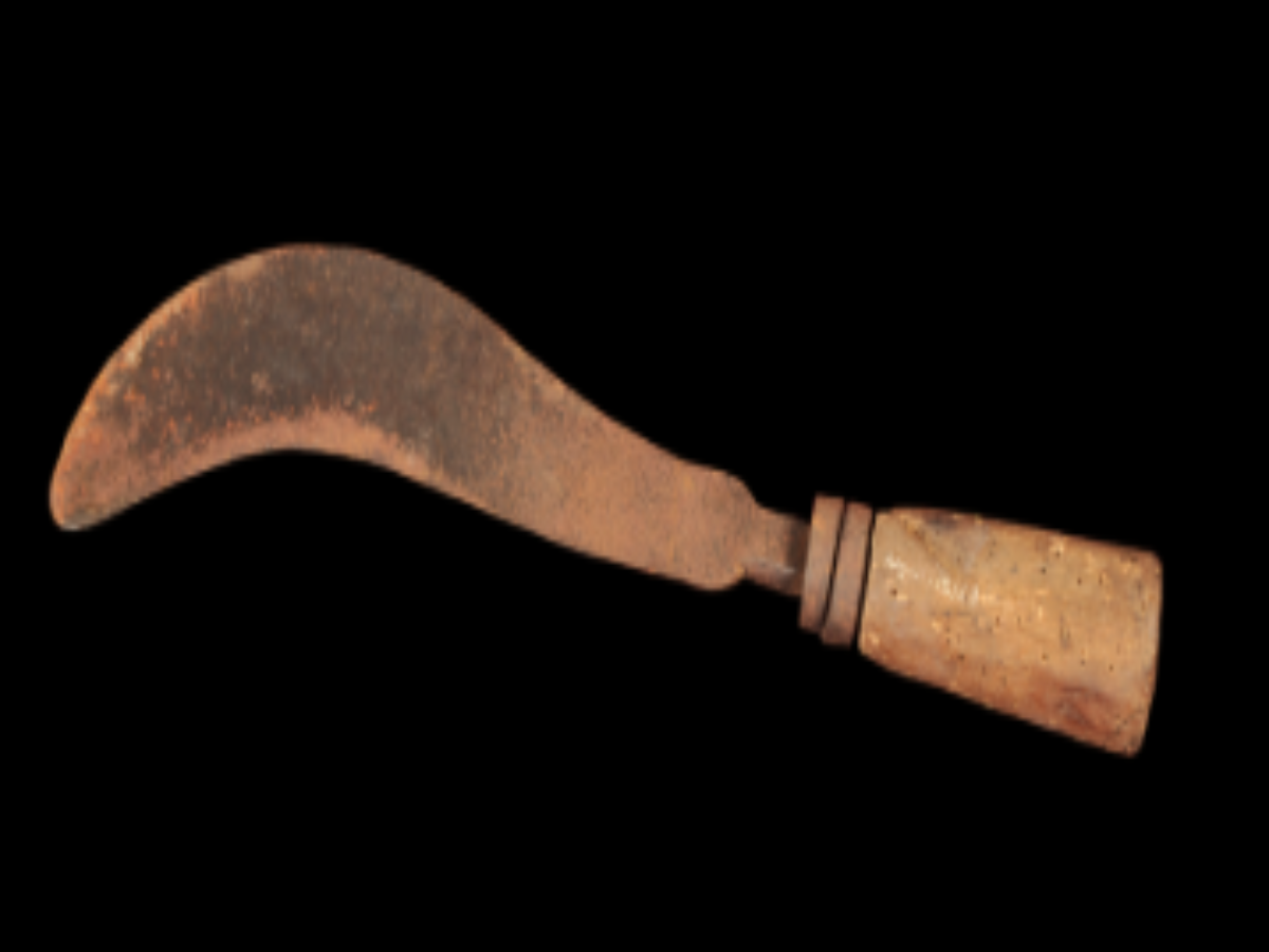 Chopper with a Wooden Handle Chopper with a Wooden Handle