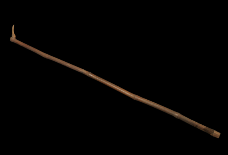 The Bamboo Stick of the Rabha Tribe The Bamboo Stick of the Rabha Tribe