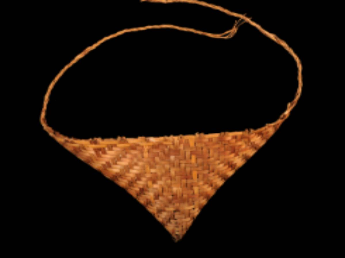 Traditional Utility of the Reang Tribe Traditional Utility of the Reang Tribe