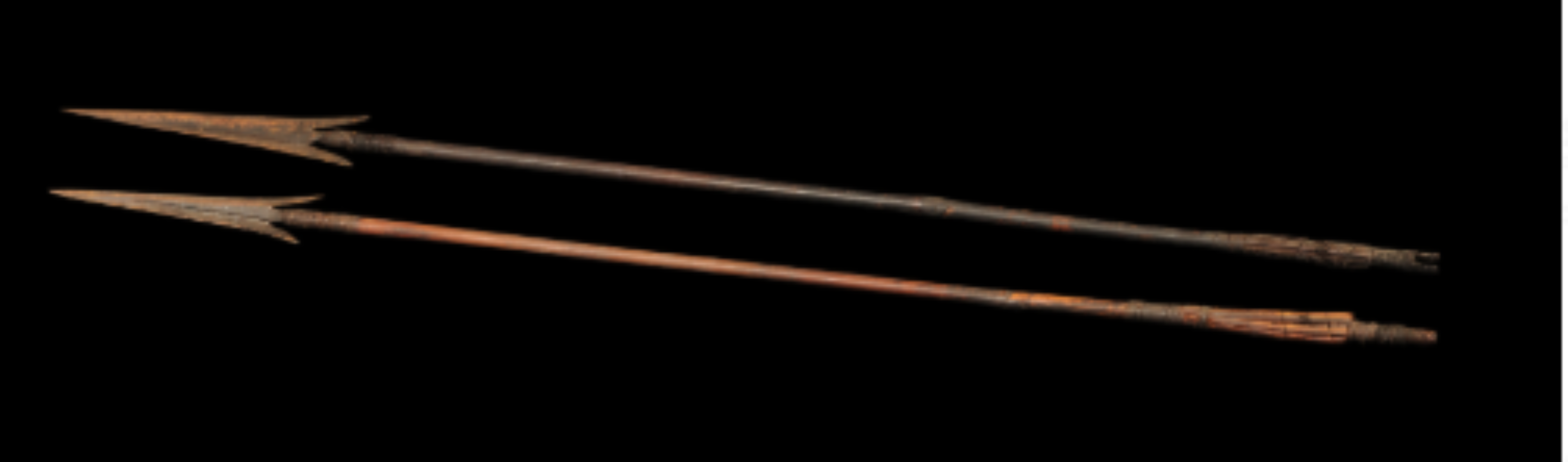 Omm of Bonda Tribe Arrows Omm of Bonda Tribe Arrows
