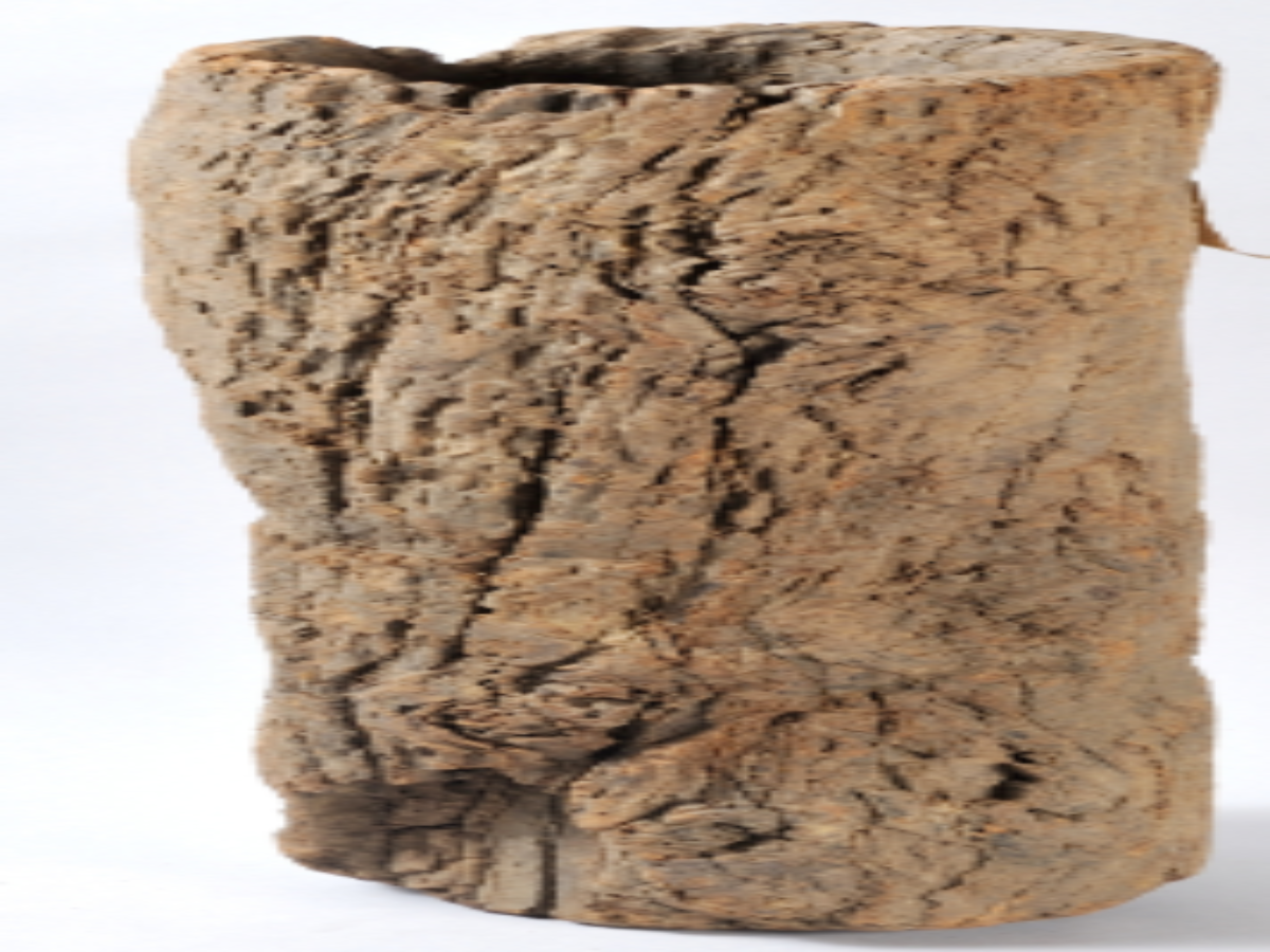 Wooden Mortar of the Birhor Tribe Wooden Mortar of the Birhor Tribe