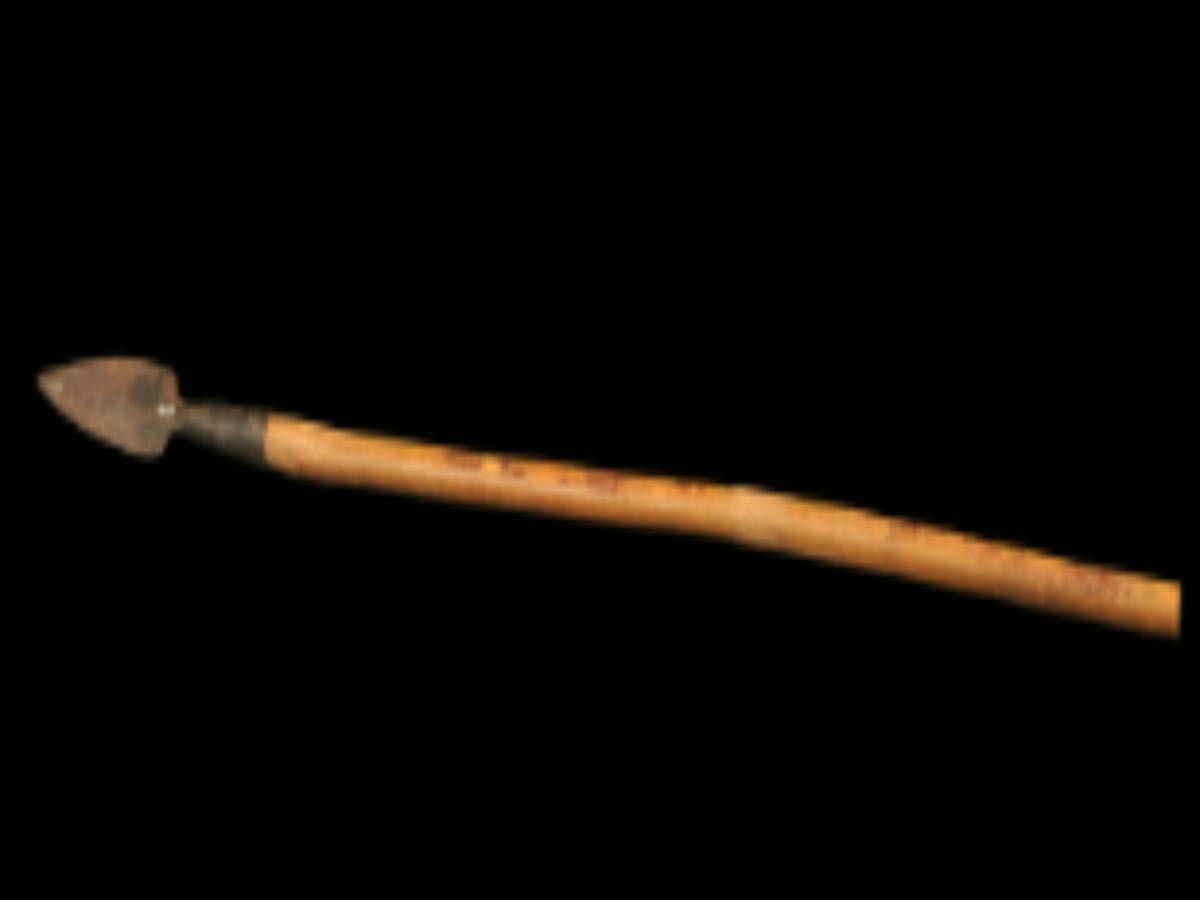 Kampar: Spear of Rabha Tribe Kampar: Spear of Rabha Tribe