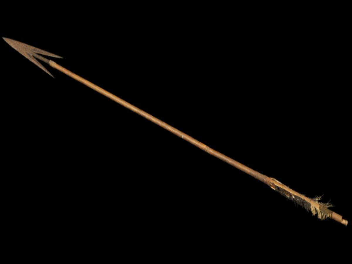 Hunting Arrow of Rabha Tribe Hunting Arrow of Rabha Tribe