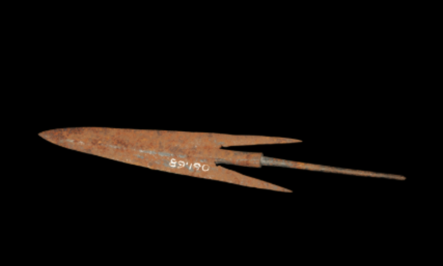 Saro of Santal Tribe Arrowhead Saro of Santal Tribe Arrowhead