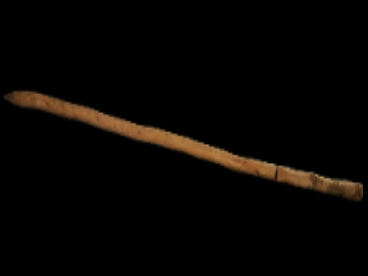 Traditional Digging Stick of the Birhor Tribe of Jharkhand Traditional Digging Stick of the Birhor Tribe of Jharkhand
