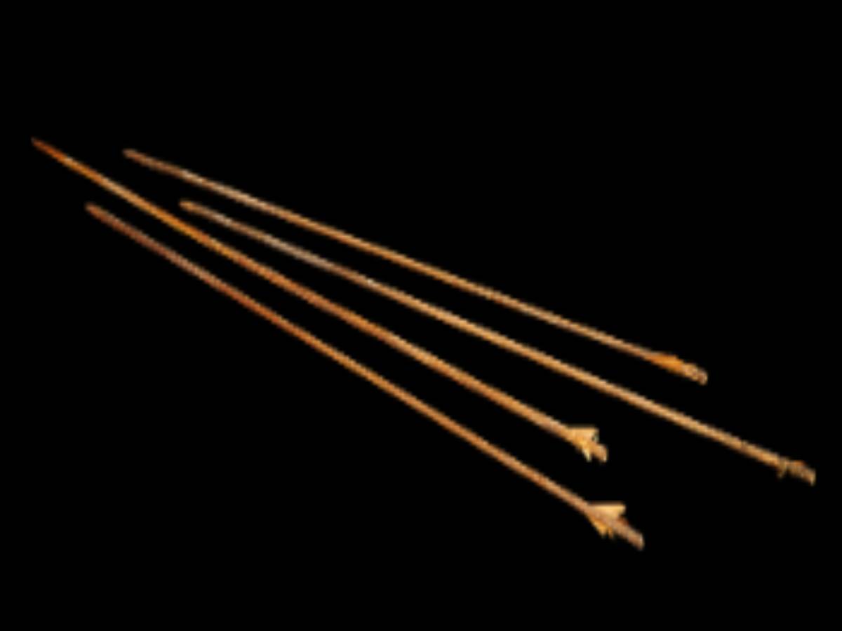 A set of four traditional arrows A set of four traditional arrows