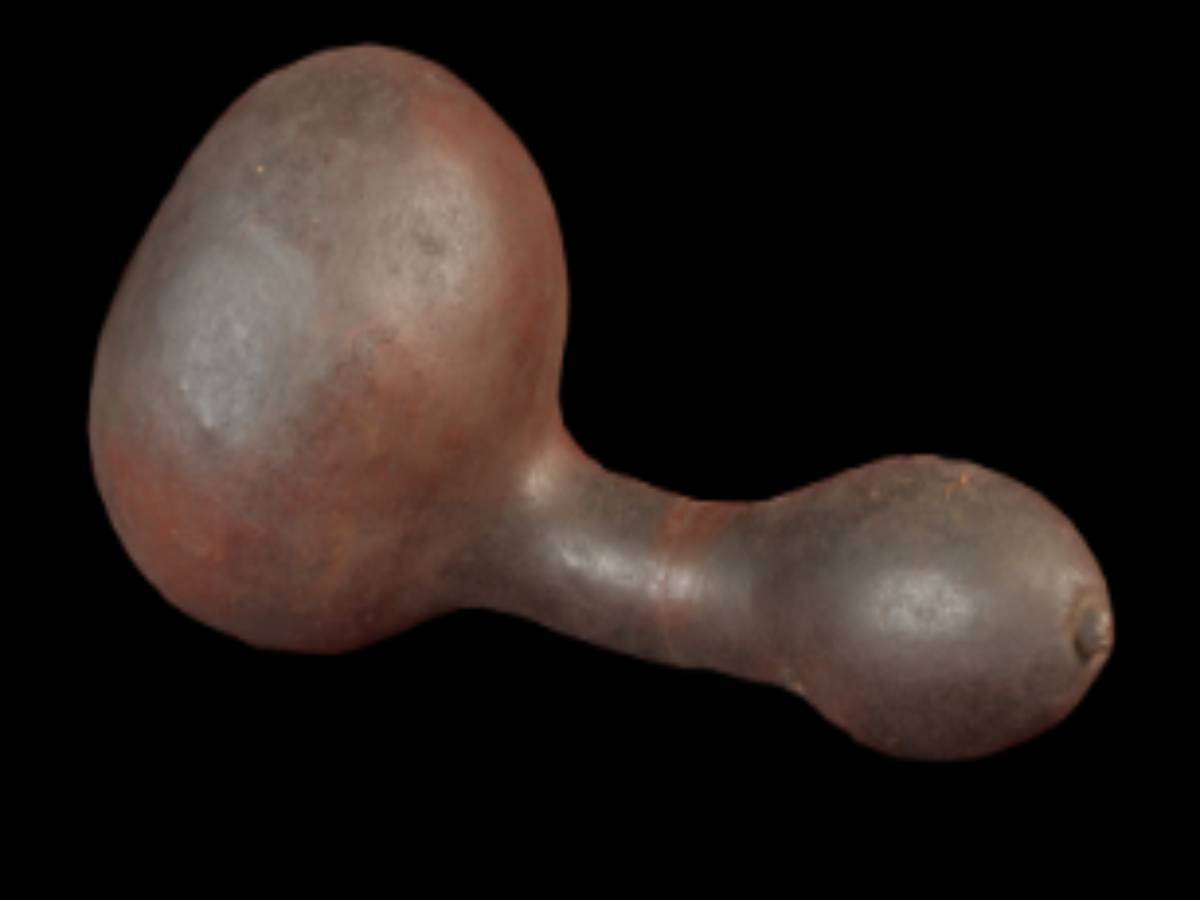 This gourd vessel is made from the dried shell This gourd vessel is made from the dried shell