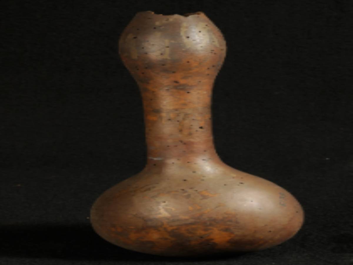 Gourd vessel is crafted by selecting mature gourds Gourd vessel is crafted by selecting mature gourds