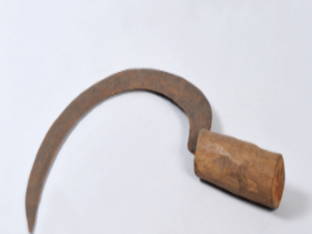 Traditional Iron Sickle of the Gadaba Tribe Traditional Iron Sickle of the Gadaba Tribe