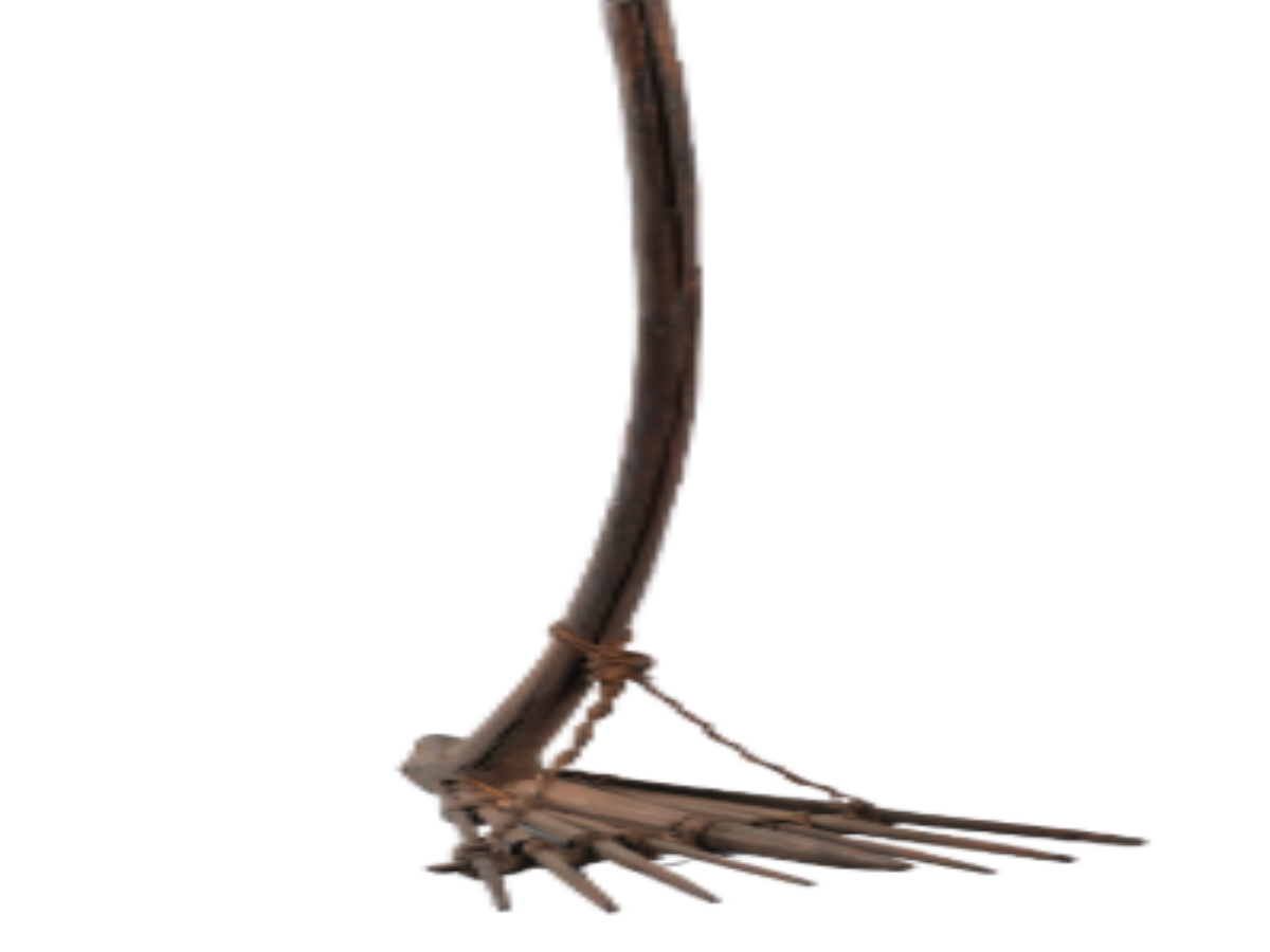 Traditional Wooden Rake of Angami Naga Tribe Traditional Wooden Rake of Angami Naga Tribe
