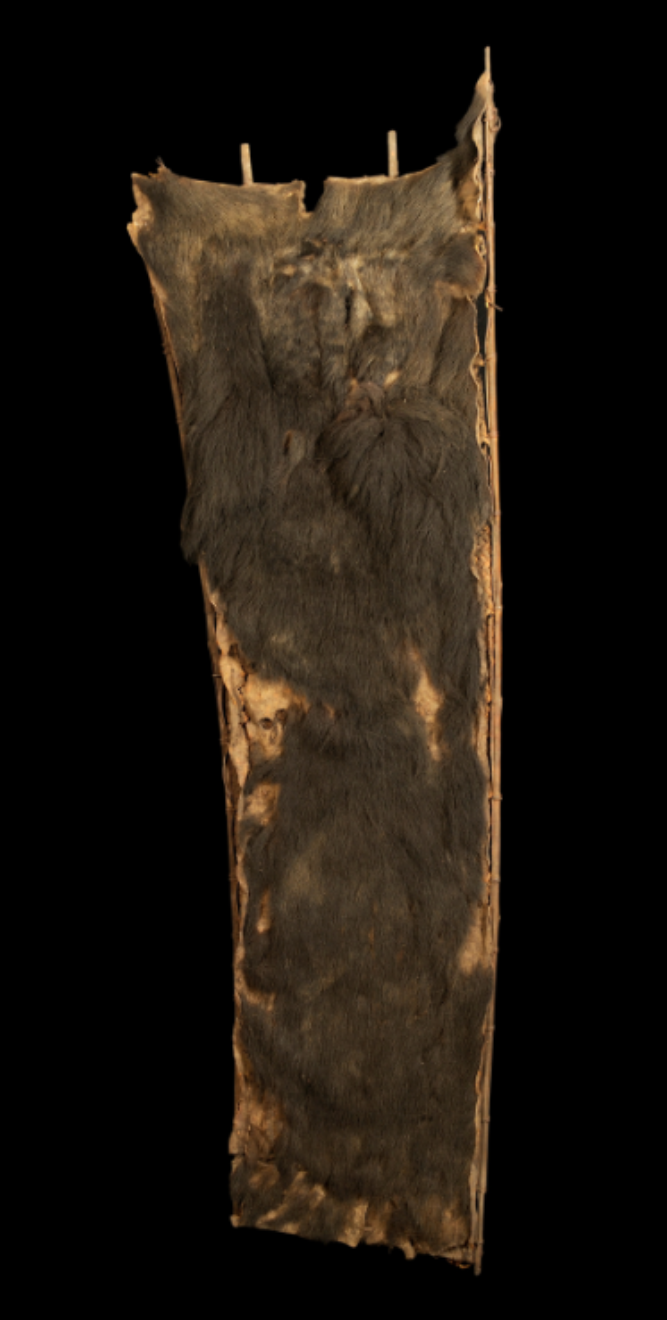 Bamboo shield With animal hair of Naga Tribe Bamboo shield With animal hair of Naga Tribe