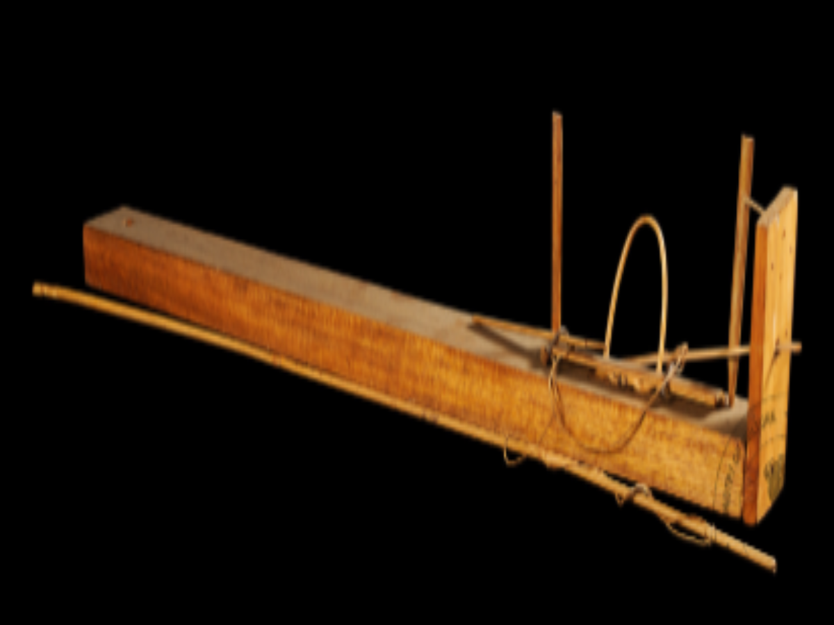 Wooden Bird Trap Wooden Bird Trap