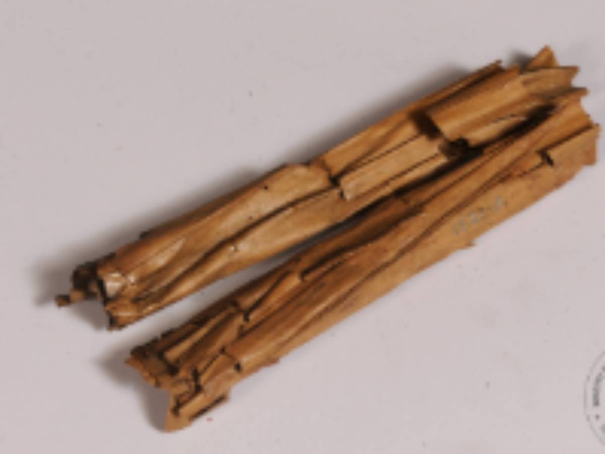 A Bunch of Cane Leaves Used by Andamanese A Bunch of Cane Leaves Used by Andamanese