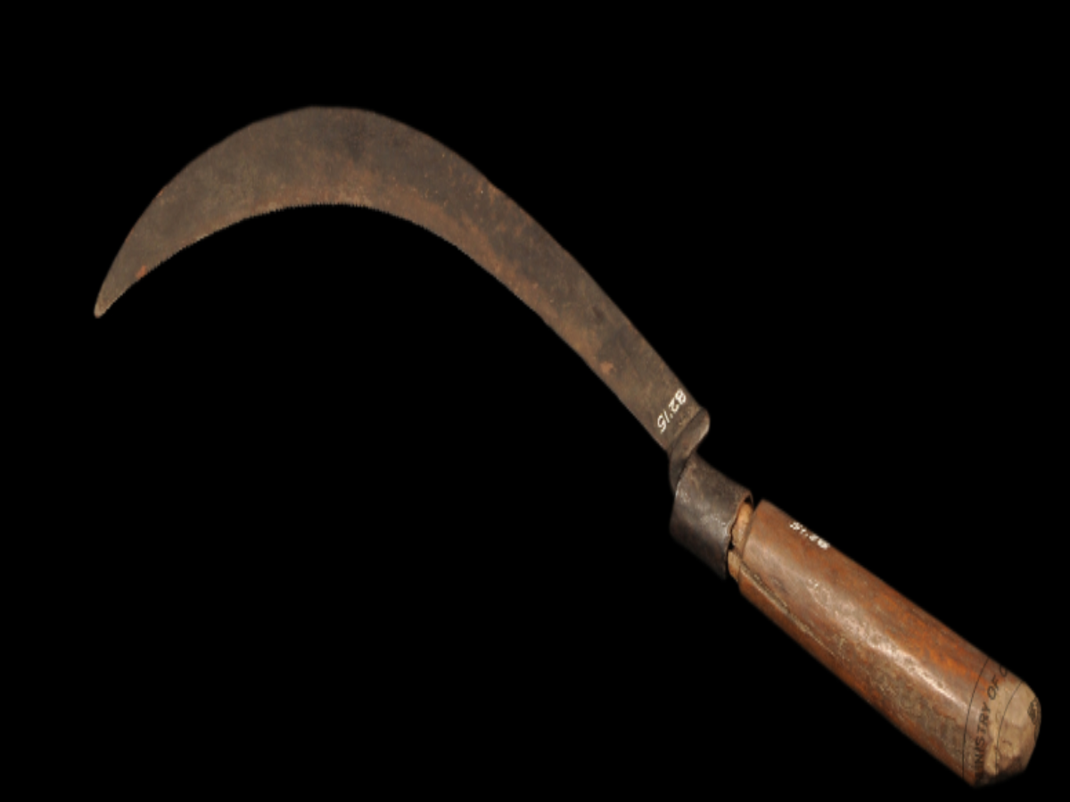Traditional Sickle of the Rabha Tribe: A Vital Farming Tool Traditional Sickle of the Rabha Tribe: A Vital Farming Tool