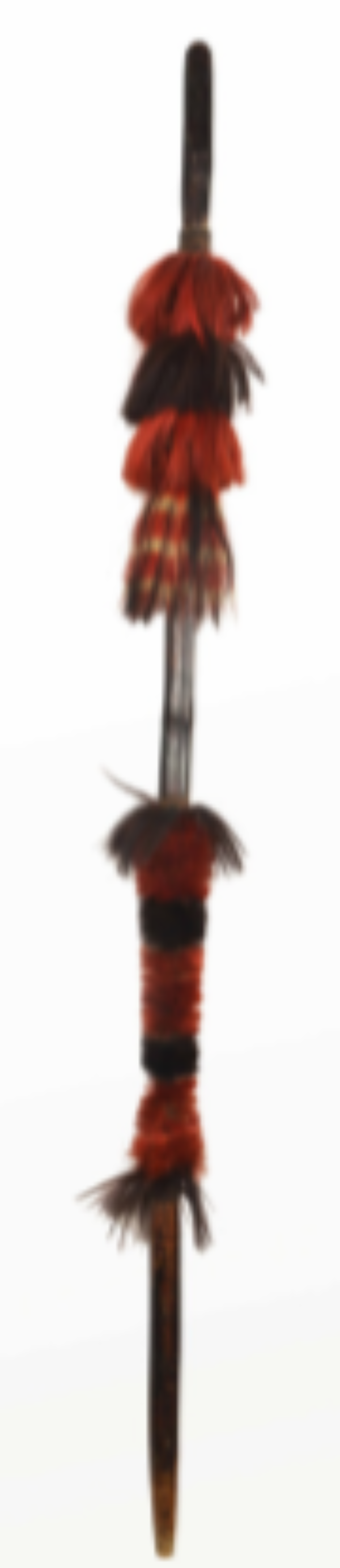 A Wooden Iron Spear of Arunachal Pradesh A Wooden Iron Spear of Arunachal Pradesh