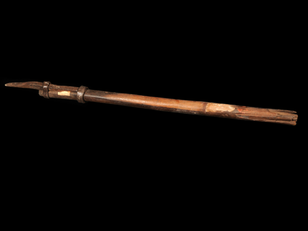 digging stick digging stick