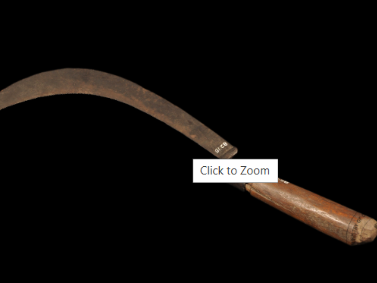 The Sickle of the Rabha Tribe: A Traditional Farming Tool