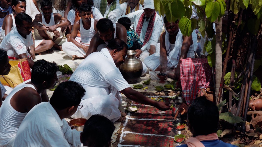 SARHUL FESTIVAL SARHUL FESTIVAL