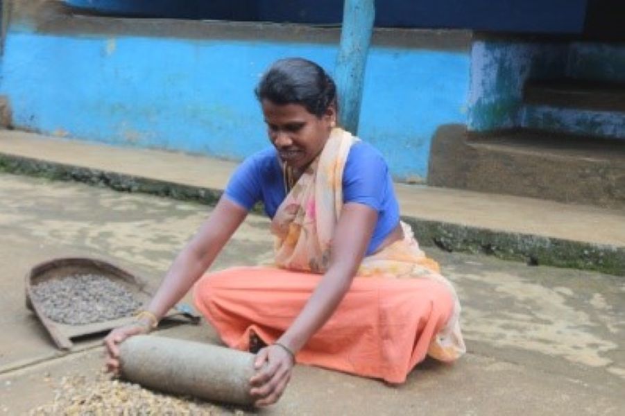 Livelihood Livelihood