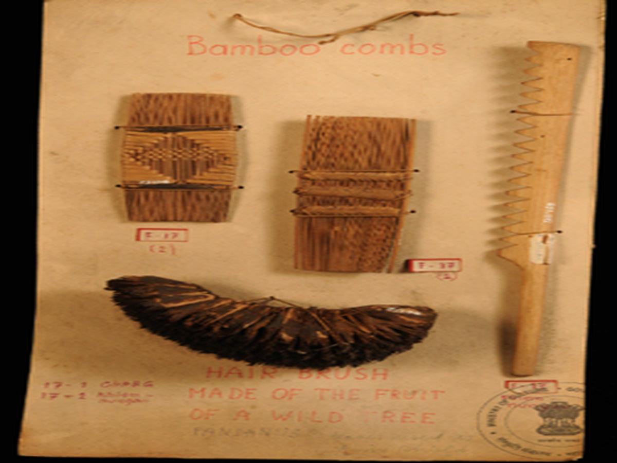 Split bamboo comb Split bamboo comb