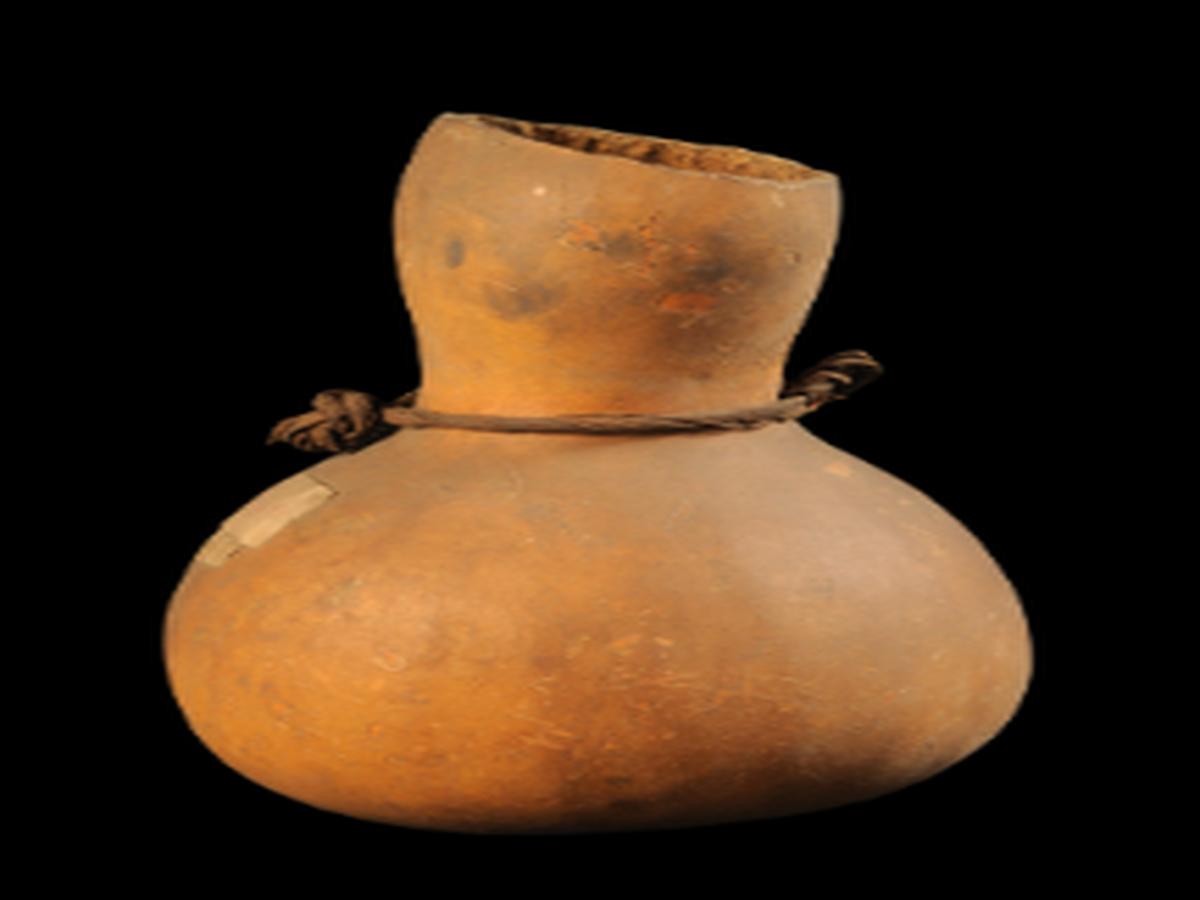 Narrow End Gourd Vessel OF Khond tribe Narrow End Gourd Vessel OF Khond tribe