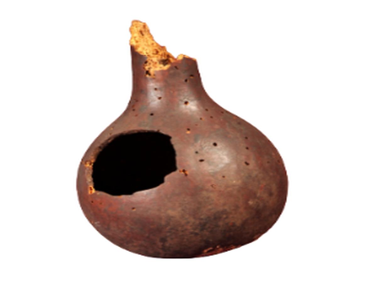 Traditional Gourd Spoon Traditional Gourd Spoon