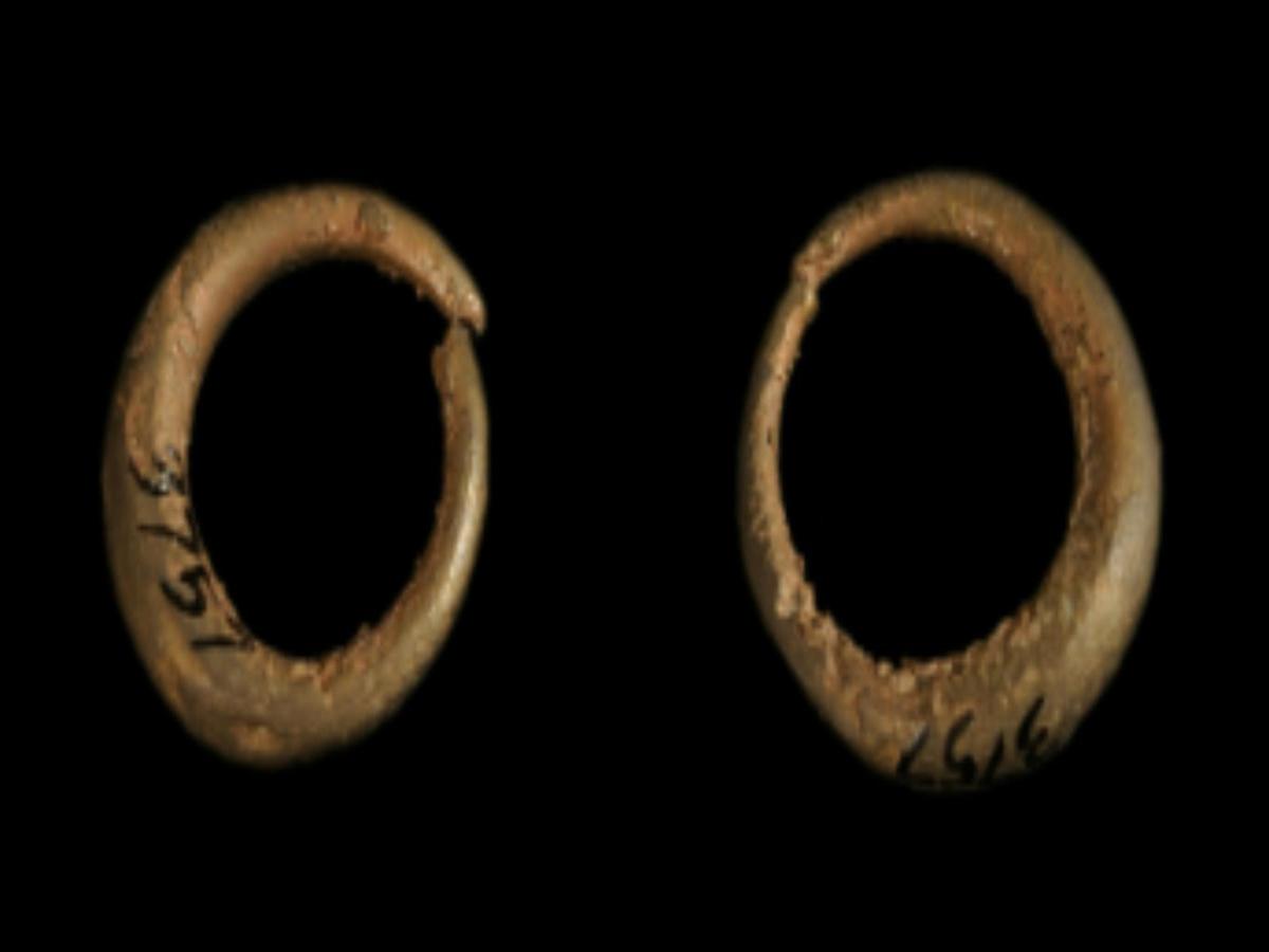 Plain Brass Earrings Plain Brass Earrings