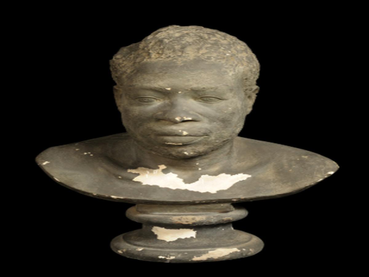 male individual of African descent male individual of African descent