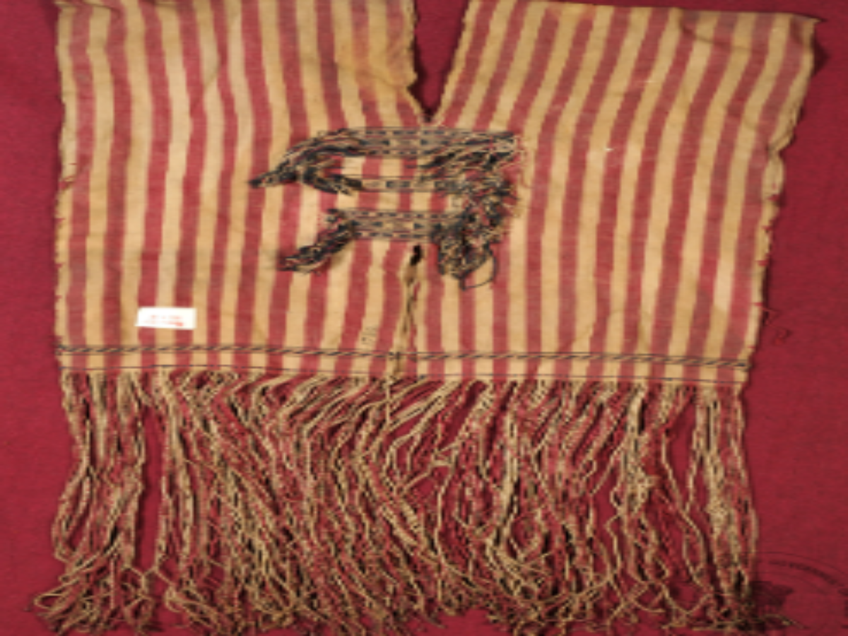 Cotton coat of assam Cotton coat of assam