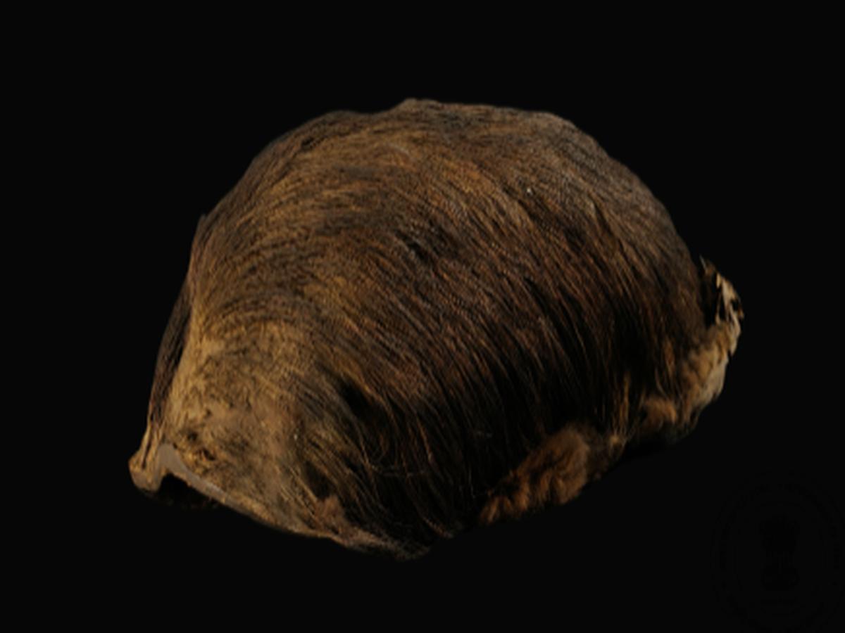 Animal Hair Cap of Mishmi Tribe Animal Hair Cap of Mishmi Tribe