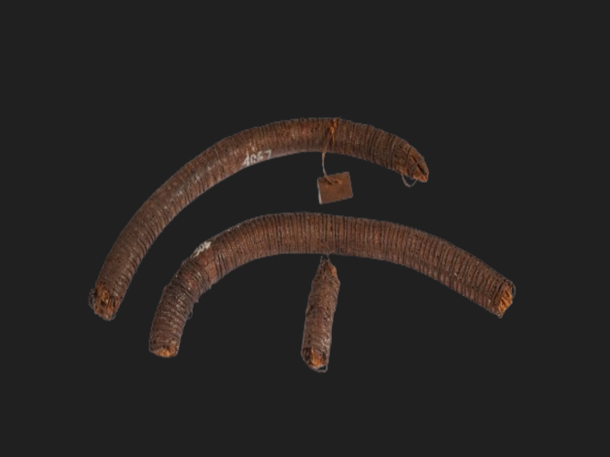 Leaf and Bark Fibre Waist Belt Leaf and Bark Fibre Waist Belt