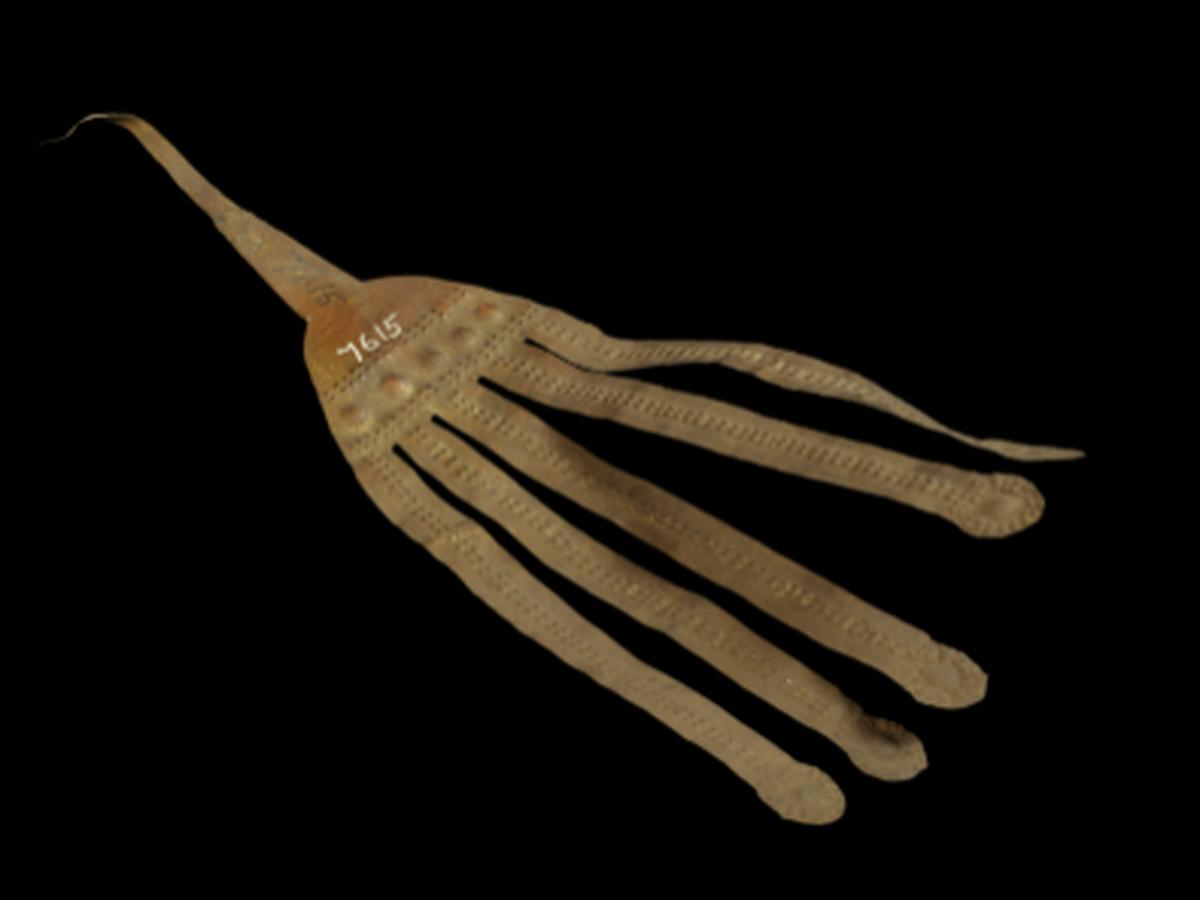 Dumchi Brass Headdress of Daphla Tribe Dumchi Brass Headdress of Daphla Tribe