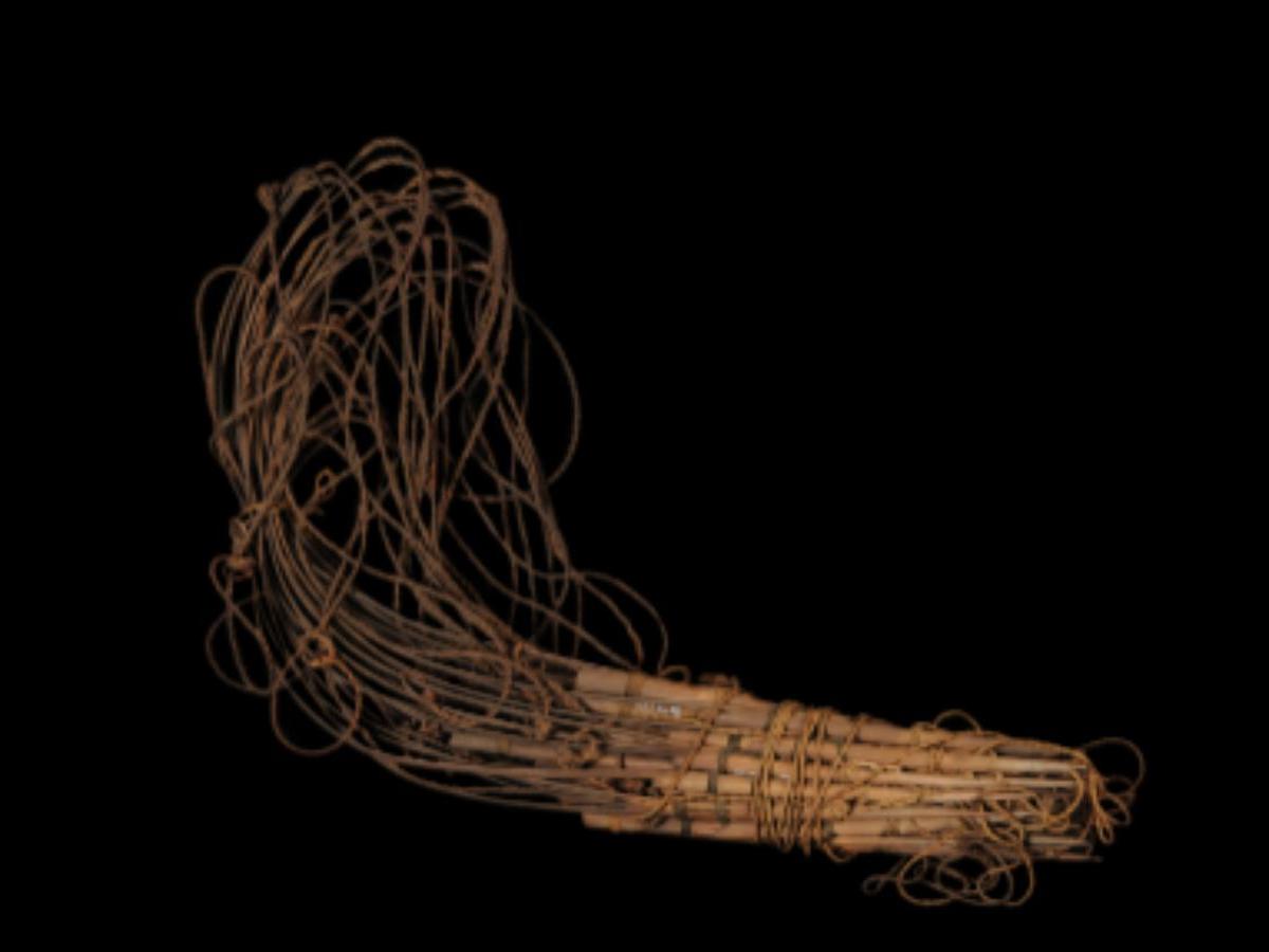 Bamboo Bird Trap of Rabha tribe Bamboo Bird Trap of Rabha tribe