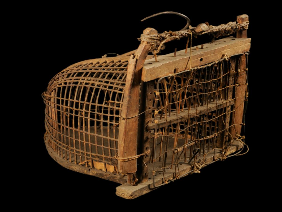 Gudurguda Bird Trap of Binjhal Tribe Gudurguda Bird Trap of Binjhal Tribe
