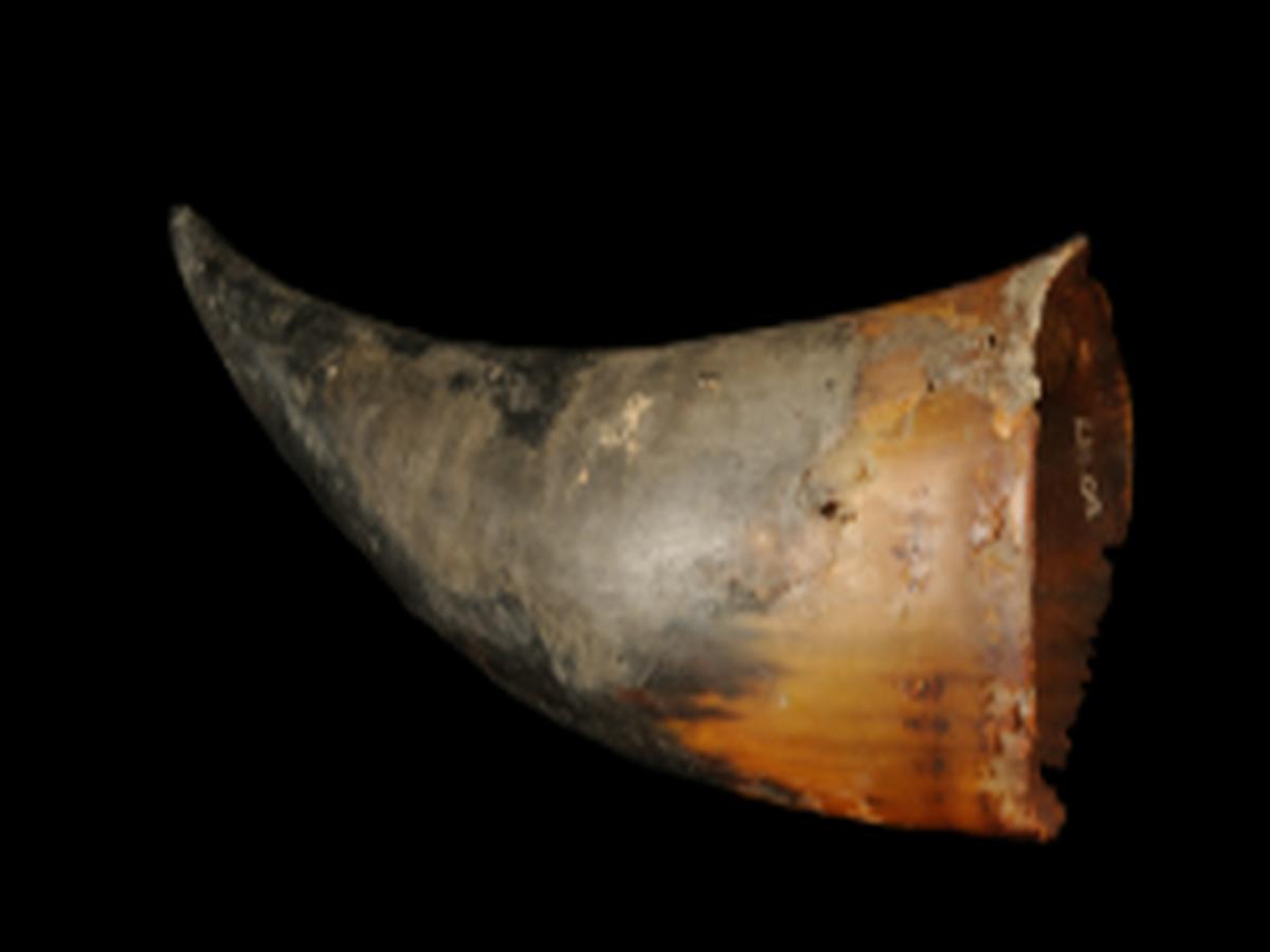 Mug of Khiamniungan Naga Tribe Mug of Khiamniungan Naga Tribe