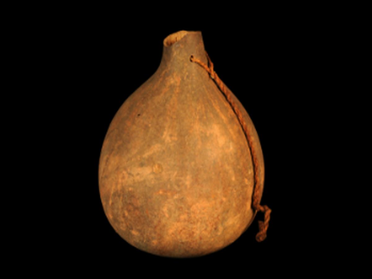 Gourd Vessel OF tubular neck Gourd Vessel OF tubular neck