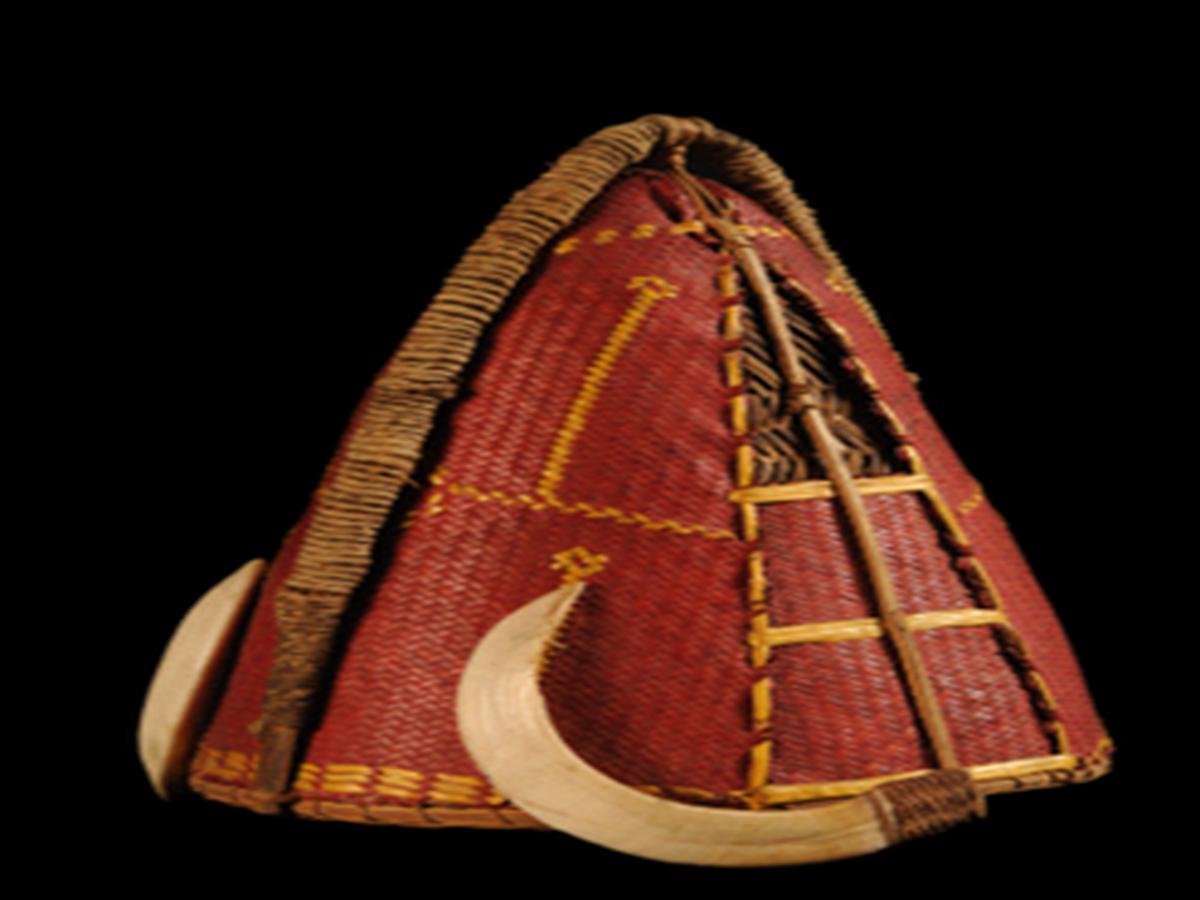 Cane Helmet Cane Helmet