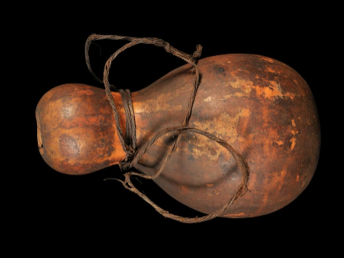 Gourd Vessel of Bonda Tribe Gourd Vessel of Bonda Tribe