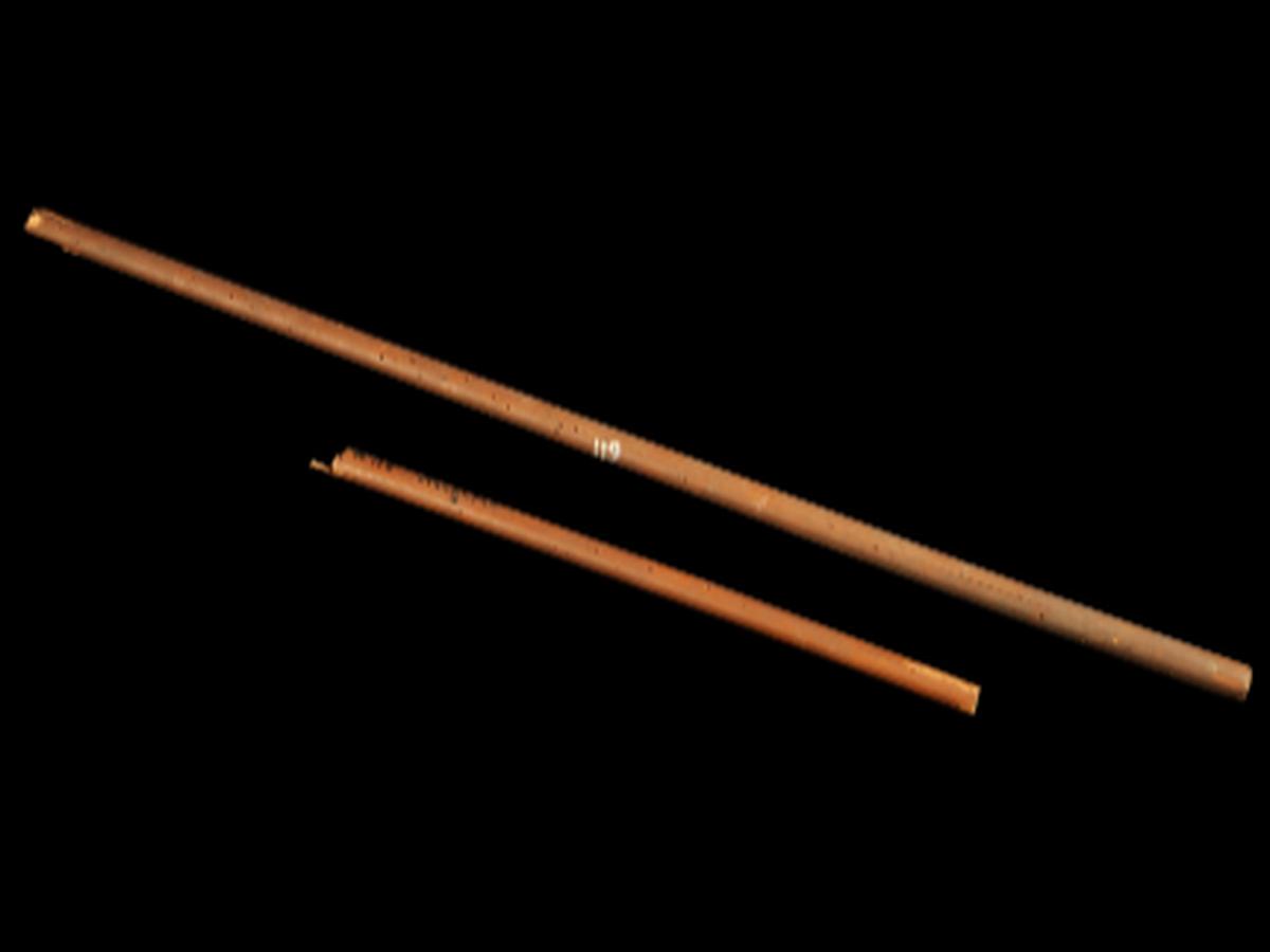 Reed Stick Reed Stick